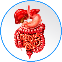 surgical-gastroenterology